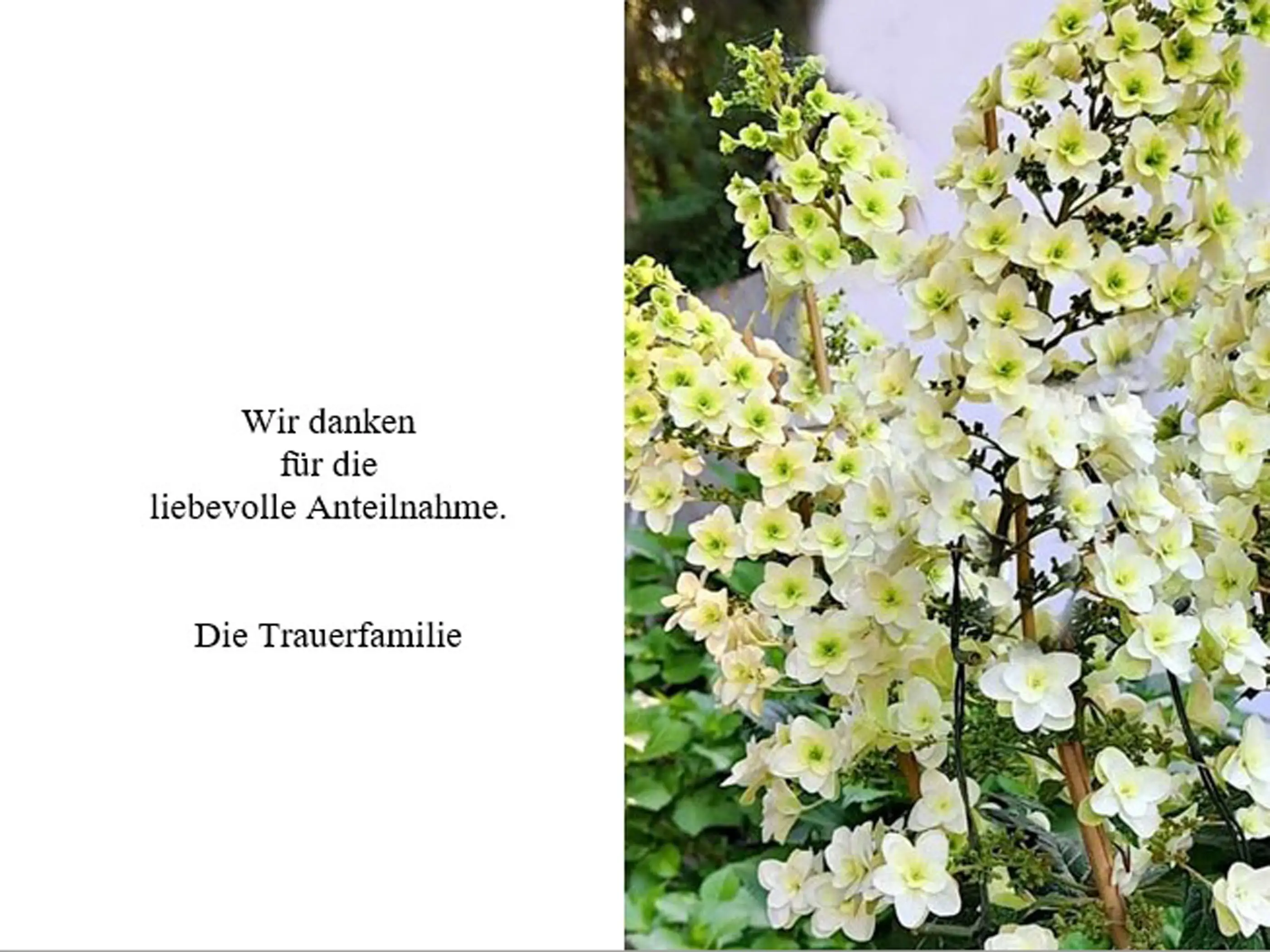 Sterbebild Außen